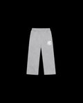 OLF - E.C PANT [GRAY]